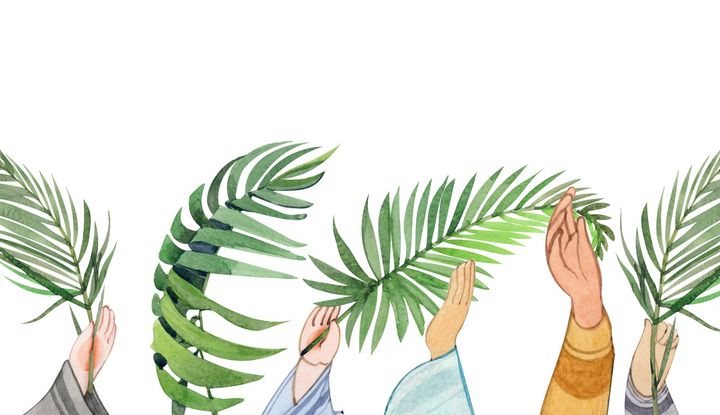 Mit Palmzweigen wurde Jesus in Jerusalem begrüßt Grafik mehrere Hände, die Palmzweige in die Höhe halten