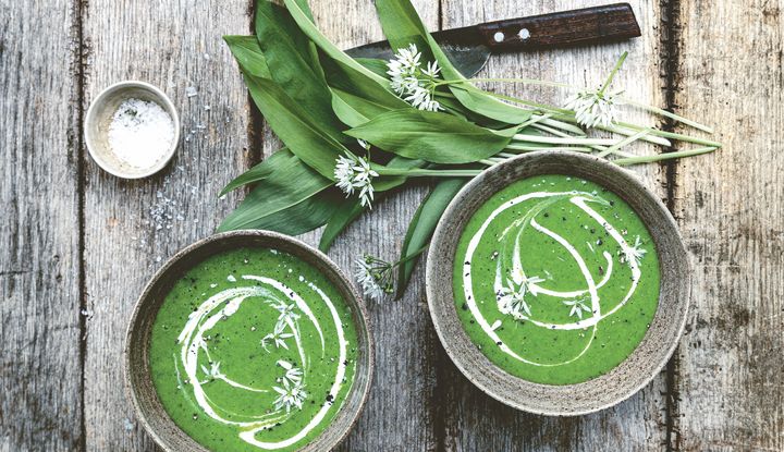 Jetzt wird es endlich wieder grün auf dem Teller. Im Frühling freuen wir uns auf frisches Gemüse wie Bärlauch und Spinat Bärlauch neben zwei Schälchen mit grüner Bärlauch-Spinat-Suppe verfeinert mit Sahne