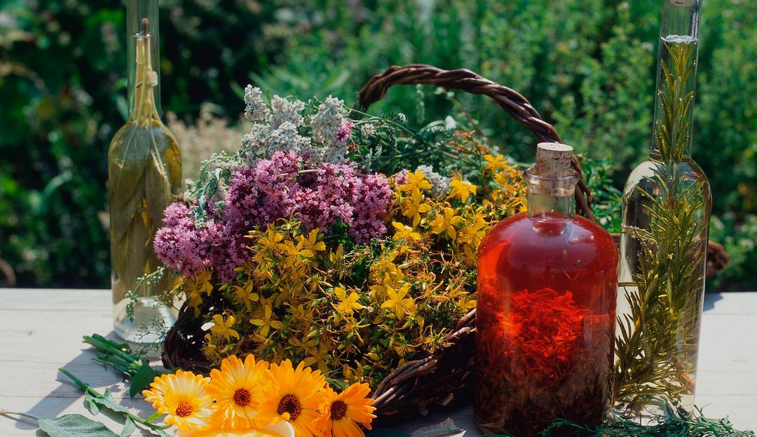 Wein in Flasche und Sommerblumen